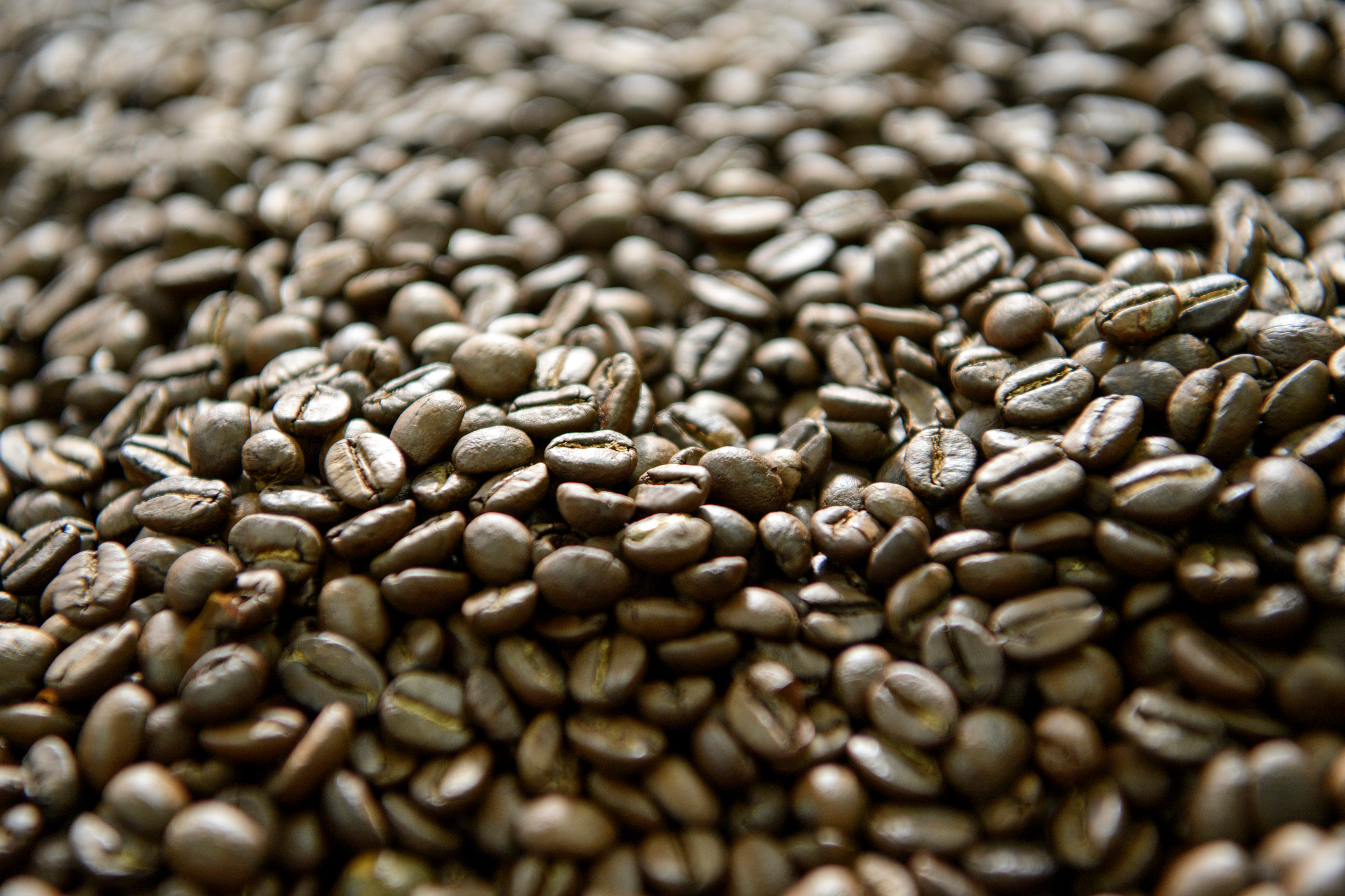 Marktsituation Rohkaffee und Preisentwicklung H&R-Kaffee